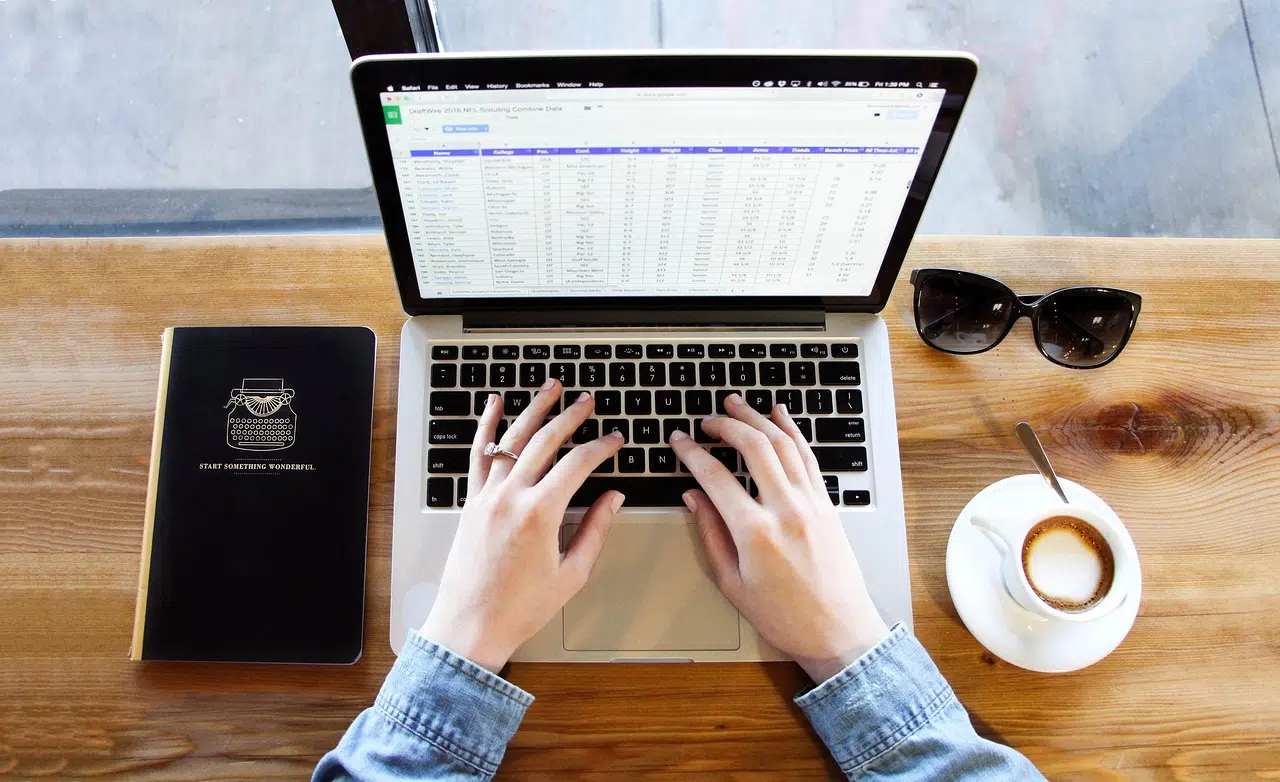 SYLAé ASP : connexion au compte employeur